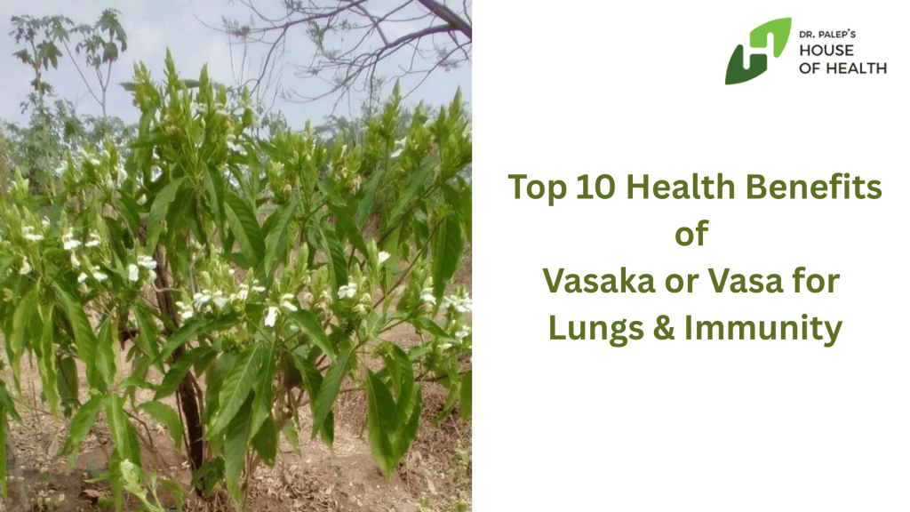 Vasaka Also known as Vasa Plant