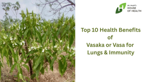 Vasaka Also known as Vasa Plant