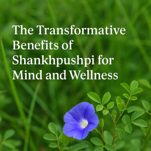 Benefits of Shankhpushpi Capsule